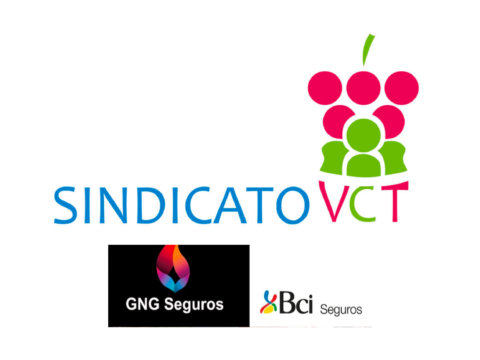 convenio Sindicato vct y seguros